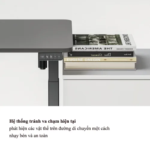 Ban Nang Ha Dien Dong Co Don S22 22D 5