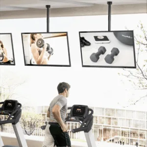 Gia Treo TV Tran Chiu Luc PLB CE1546S 2